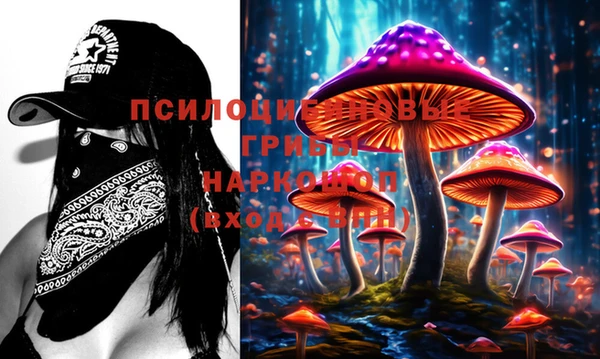 гашик Каменск-Шахтинский