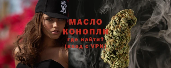 хмурый Каменка