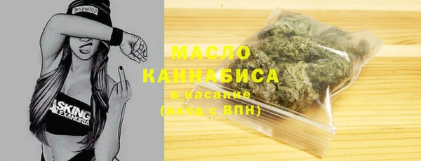 хмурый Каменка