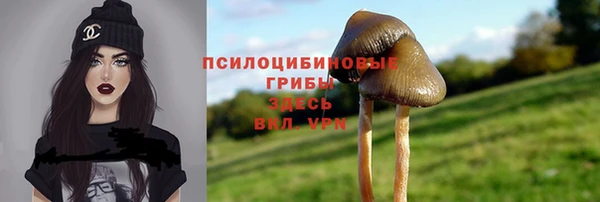 дживик Чердынь