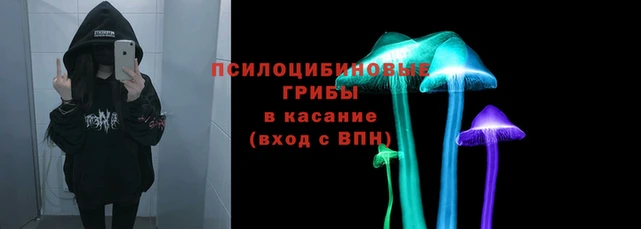 прущие грибы Карпинск