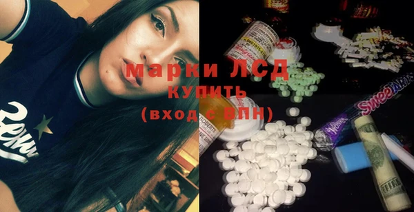 хмурый Каменка