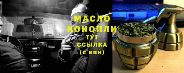 хмурый Каменка