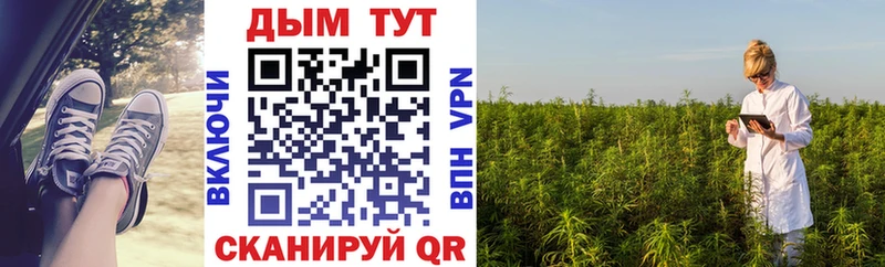 Конопля Bruce Banner  купить закладку  Первоуральск 
